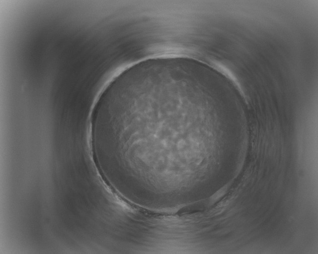 X0000072521472200607211410