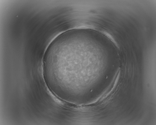 X0000072521476200607211410