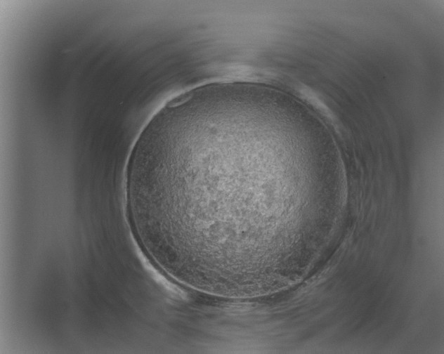 X0000072521479200607211410