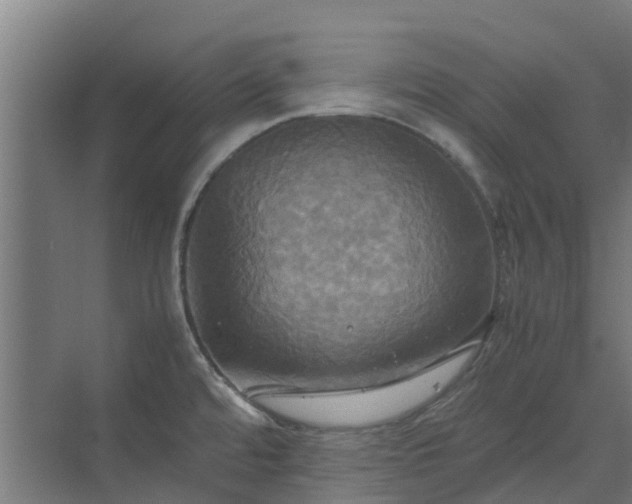 X0000072521480200607211410