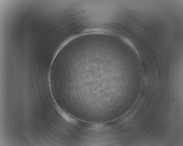 X0000072521482200607211410