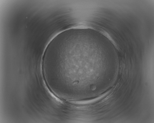 X0000072521484200607211410