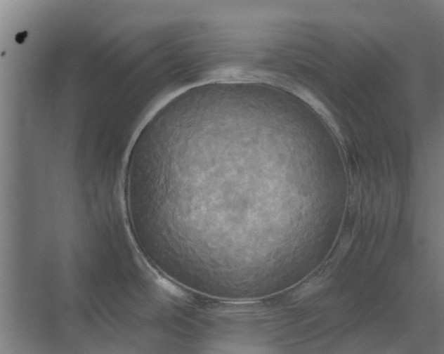 X0000072521486200607211410