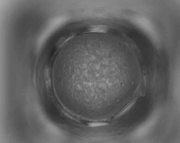 X0000072521487200607211410