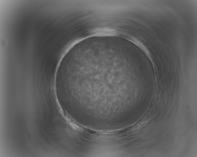 X0000072521488200607211410