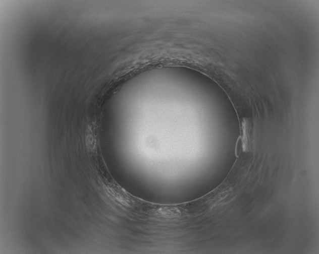 X0000072521491200607211409