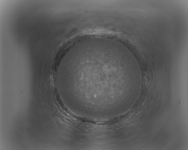 X0000072521493200607211409