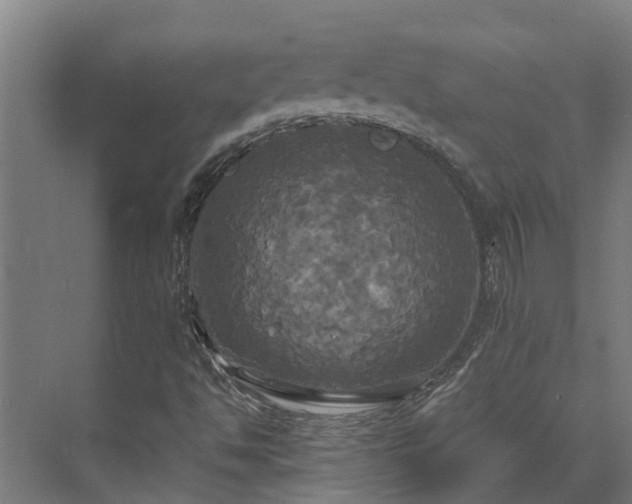 X0000072521494200607211409