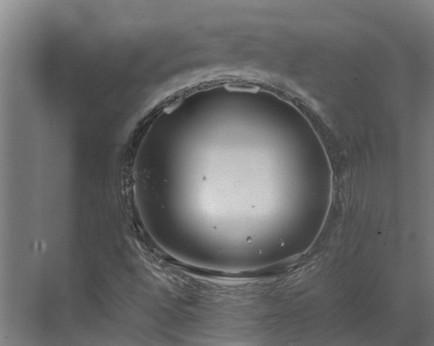 X0000072521496200607211409