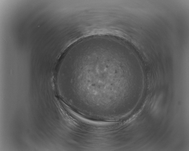 X0000072521497200607211409