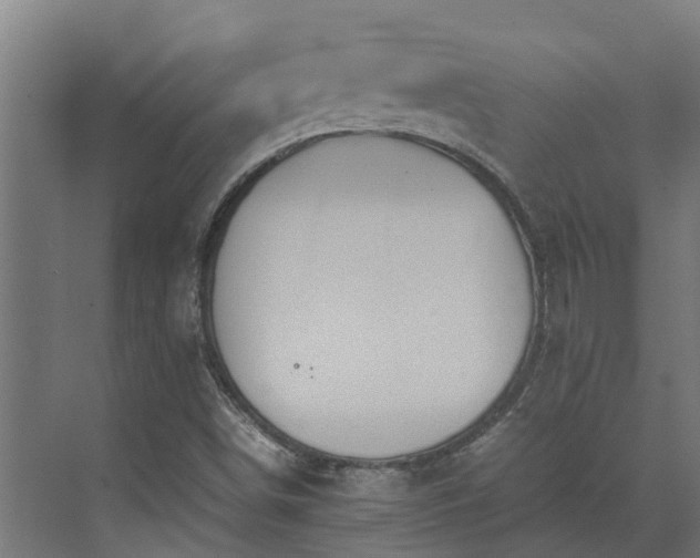 X0000072521498200607211410