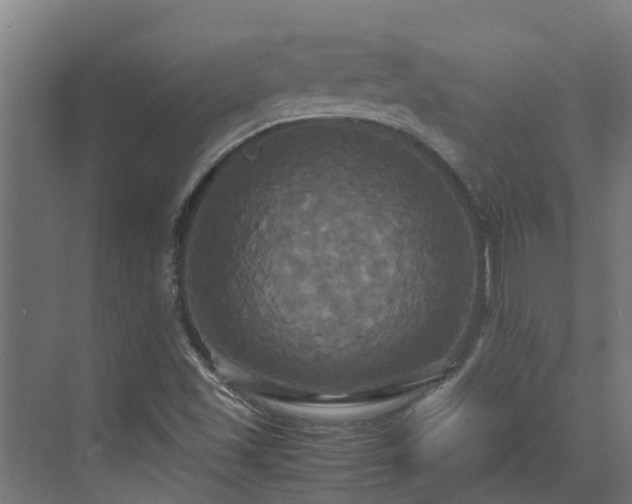 X0000072521501200607211410