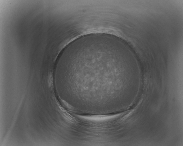 X0000072521505200607211410