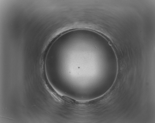 X0000072521507200607211410