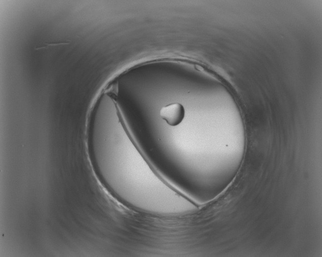 X0000072521508200607211410