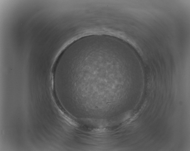 X0000072521509200607211410