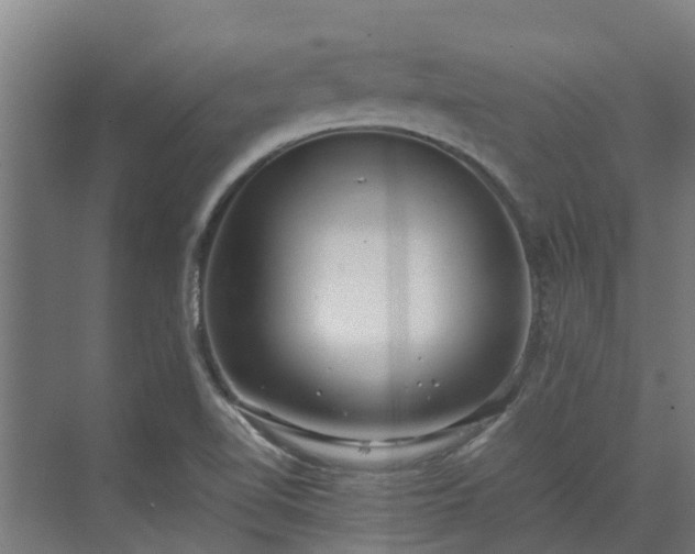 X0000072521510200607211410