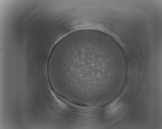 X0000072521513200607211410