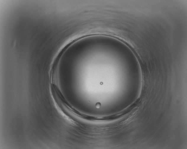 X0000072521515200607211410