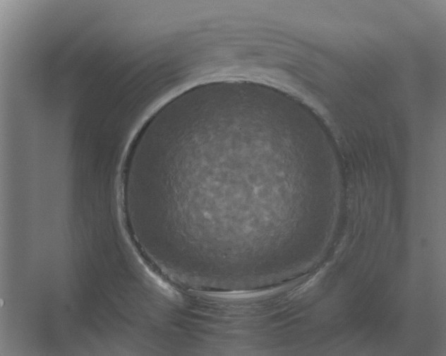 X0000072521517200607211410