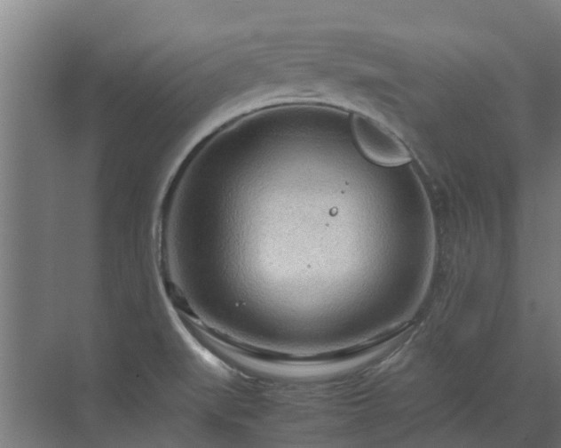 X0000072521519200607211410