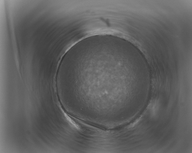 X0000072521521200607211410