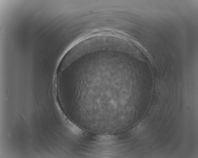 X0000072521522200607211410