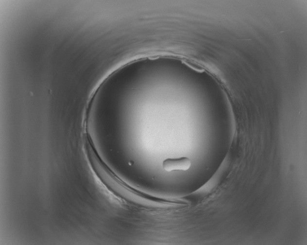 X0000072521524200607211410