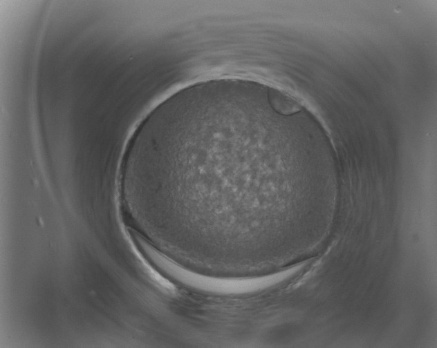 X0000072521525200607211410