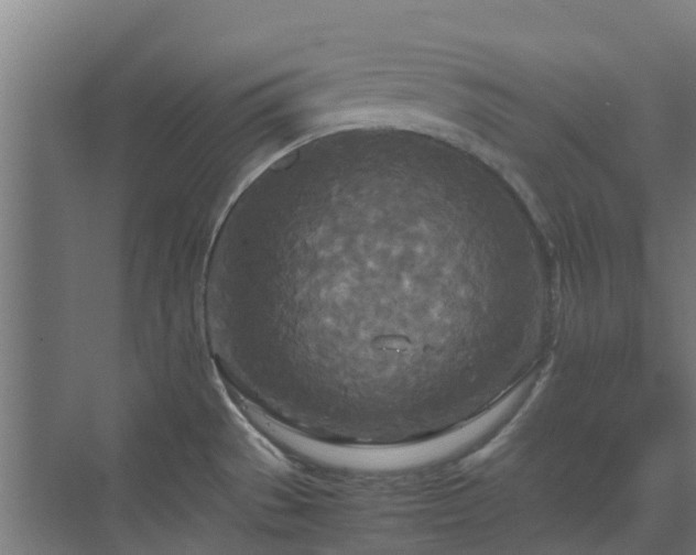 X0000072521529200607211410