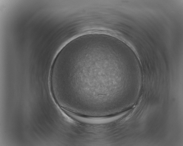 X0000072521533200607211410