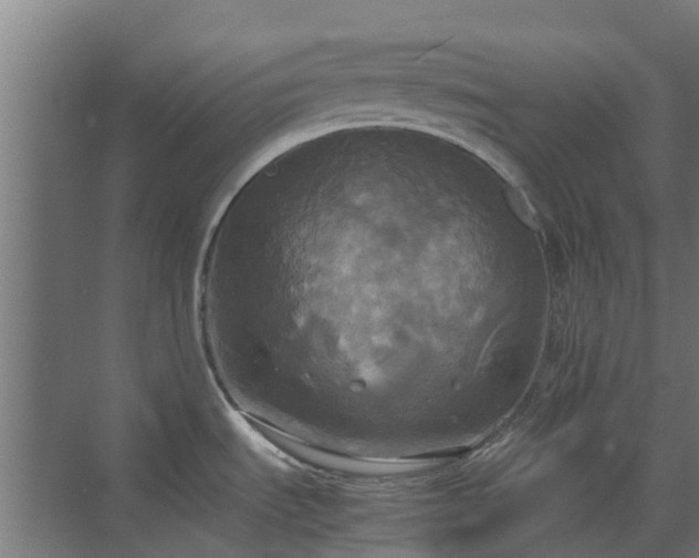 X0000072521535200607211410