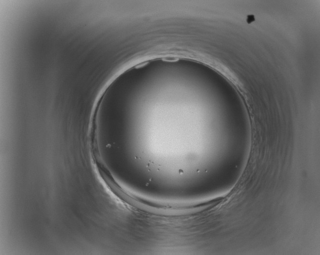 X0000072521536200607211410