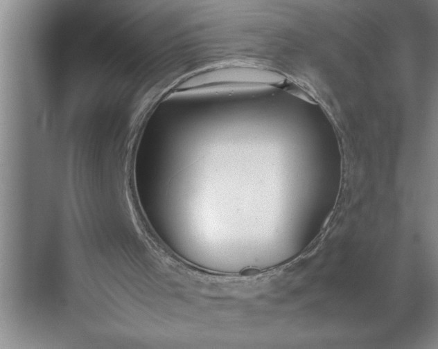 X0000072520001200607290210