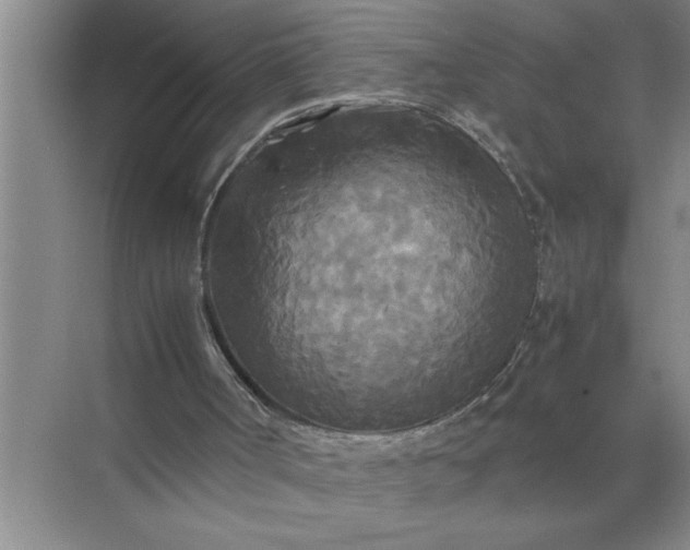 X0000072520002200607290210