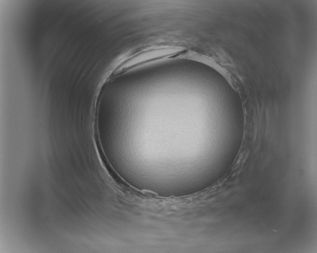 X0000072520003200607290210