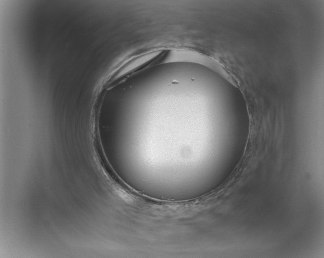 X0000072520005200607290210