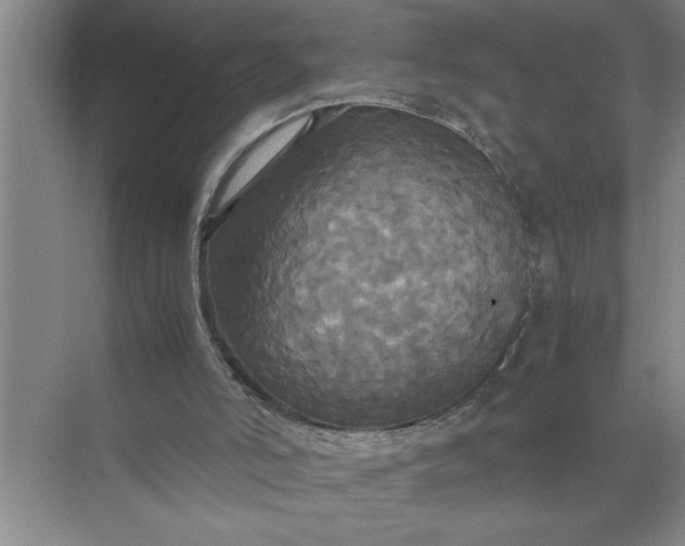 X0000072520006200607290210