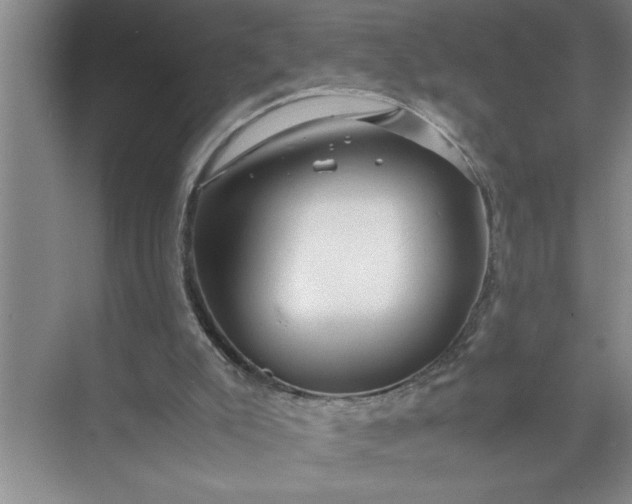 X0000072520007200607290210