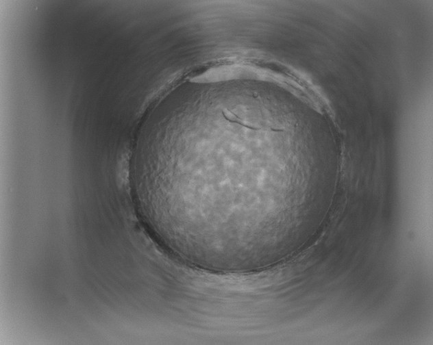 X0000072520010200607290210