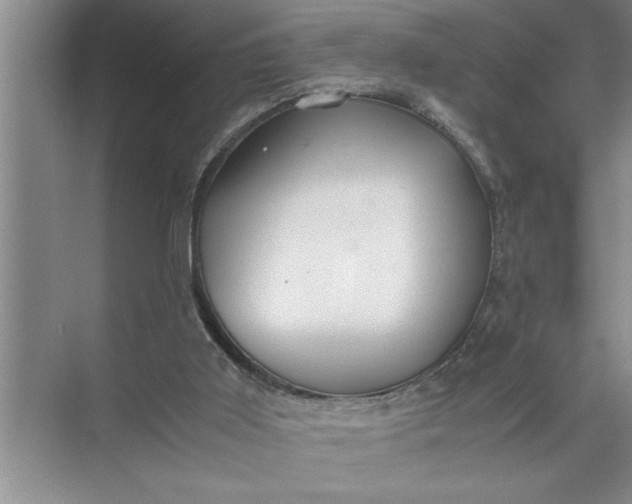 X0000072520011200607290210