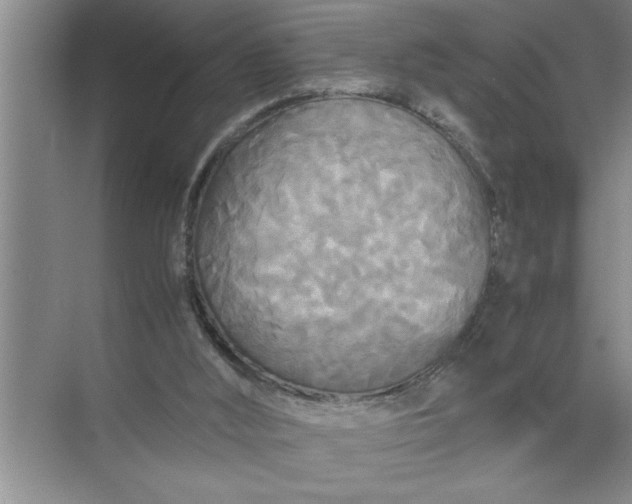 X0000072520012200607290210