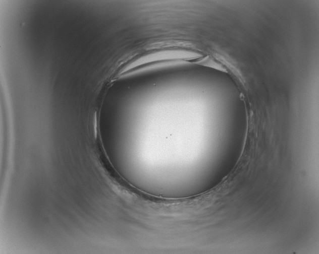 X0000072520013200607290210