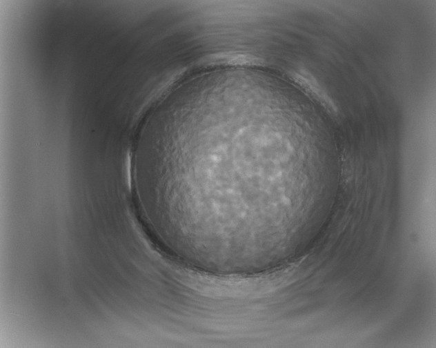 X0000072520014200607290210