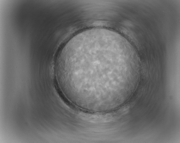 X0000072520016200607290210