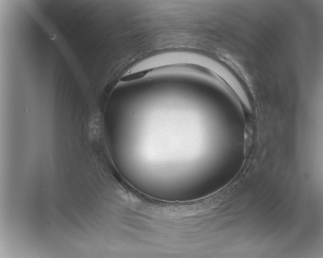 X0000072520017200607290210