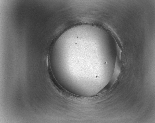 X0000072520019200607290210