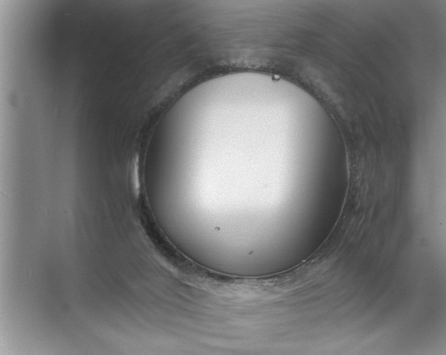 X0000072520020200607290210