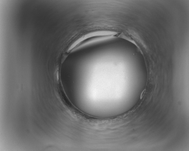 X0000072520021200607290210