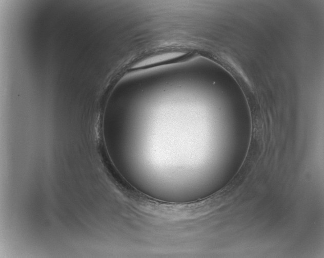 X0000072520023200607290210